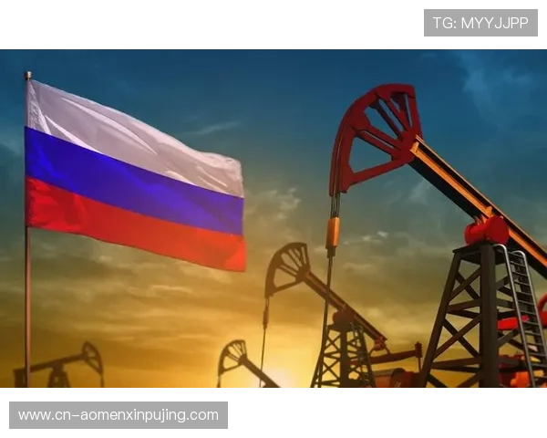 新普京在哪里出现，分析普京近期的公开露面地点与行程安排